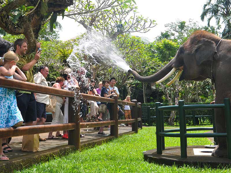Elephant Sanctuary