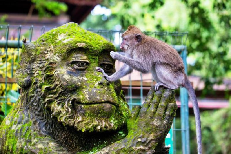Animal Encounters